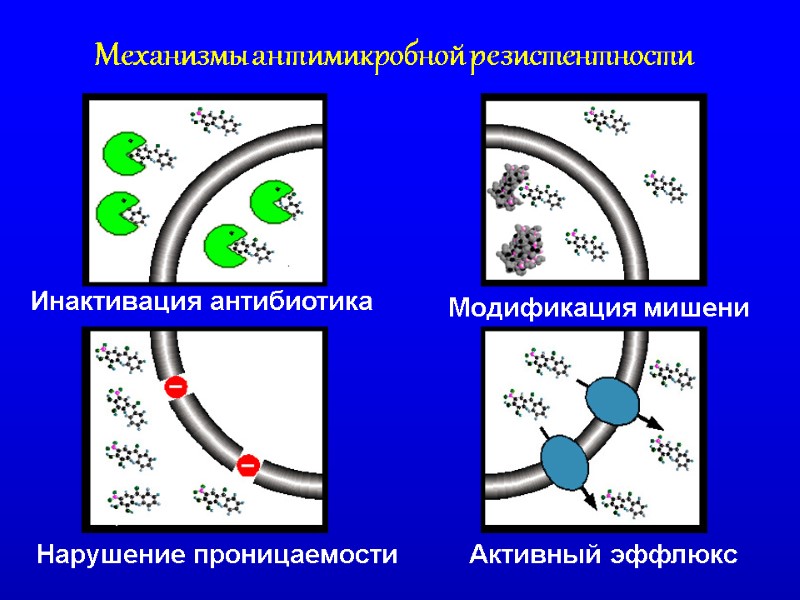 Механизмы антимикробной резистентности Инактивация антибиотика Нарушение проницаемости Модификация мишени Активный эффлюкс